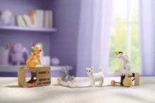DIY Miniature Kitten Paradise Shop
